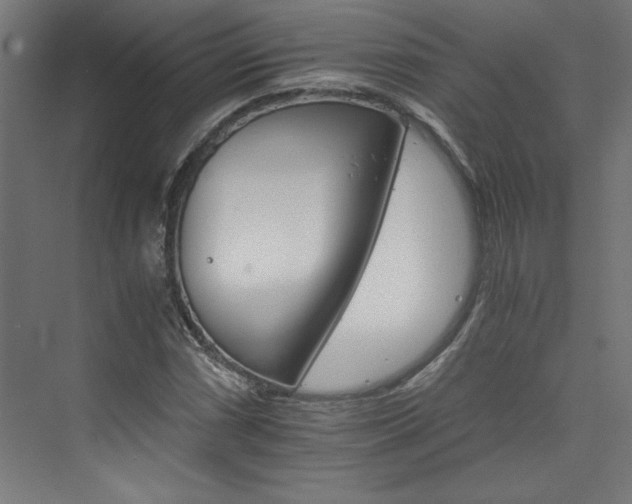 X0000074001066200608211408