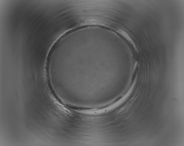 X0000074001068200608211408