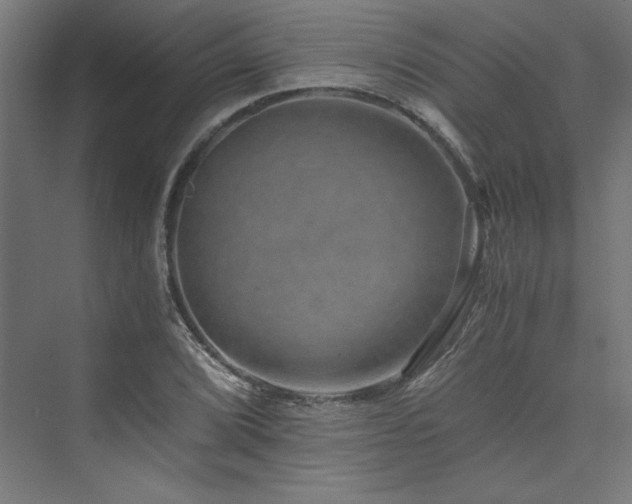 X0000074001072200608211408