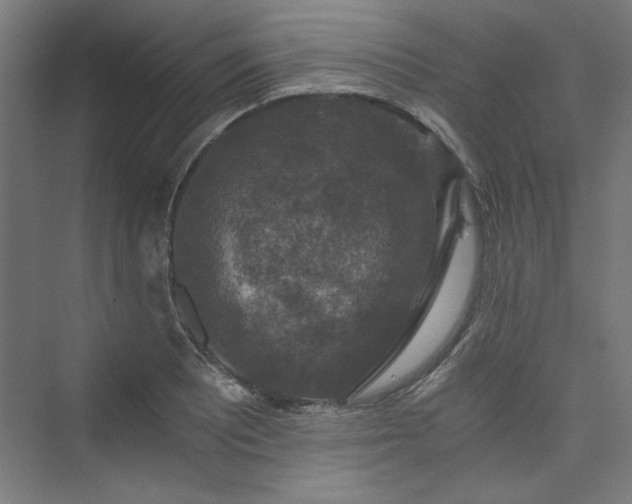 X0000074001081200608211408