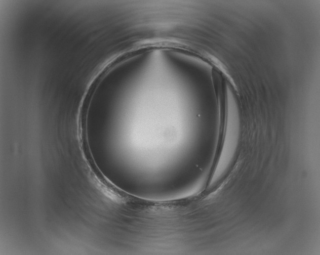 X0000074001082200608211408