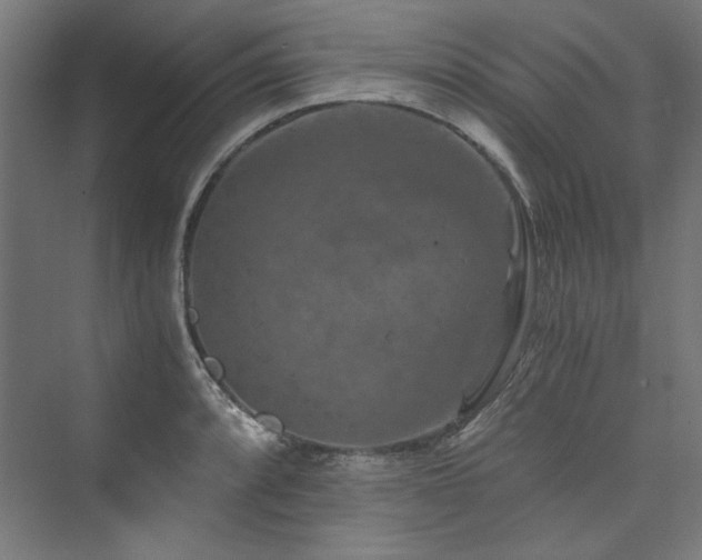 X0000074001088200608211407