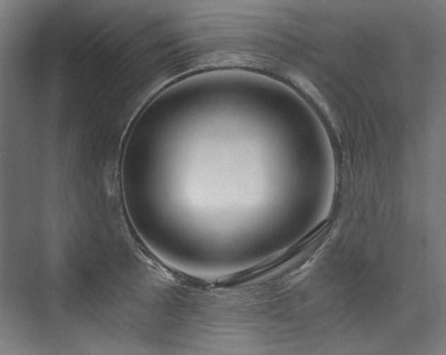 X0000074001089200608211407