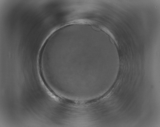 X0000074001091200608211407