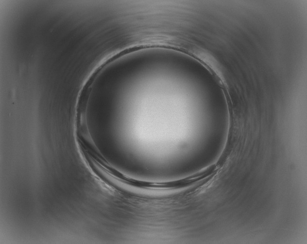 X0000074001093200608211407