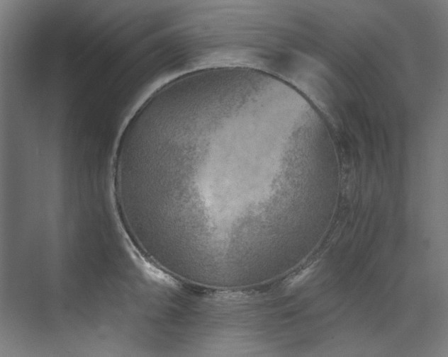 X0000074001094200608211407