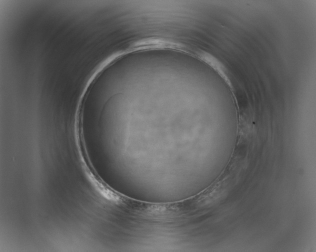 X0000074001098200608211407