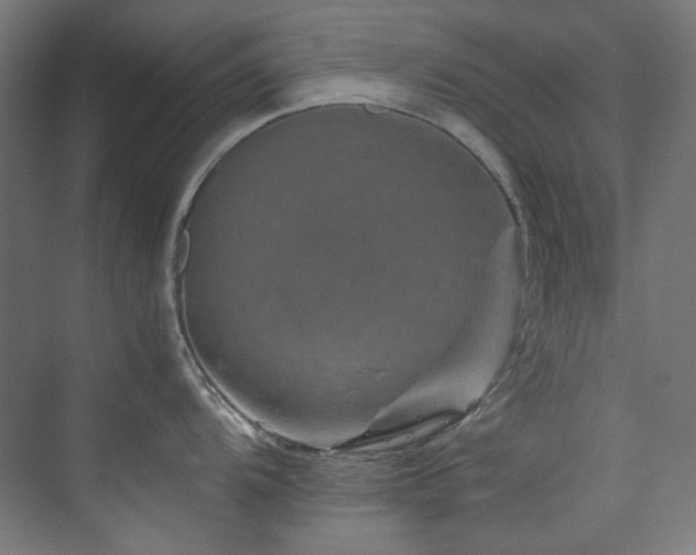 X0000074001104200608211407