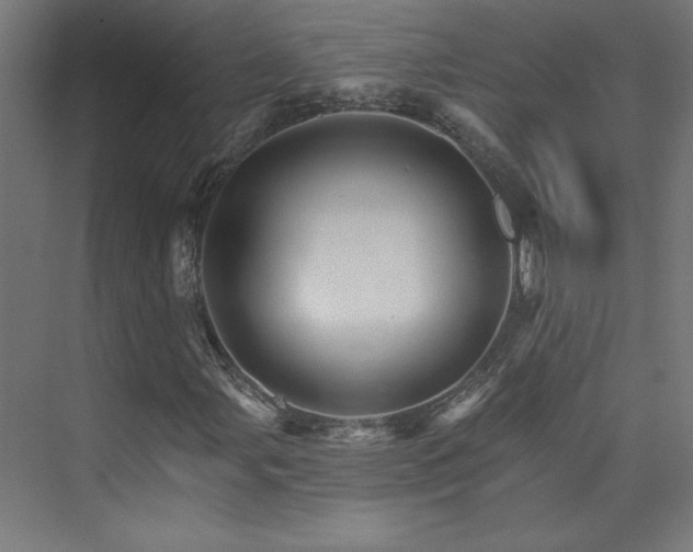 X0000074001107200608211406