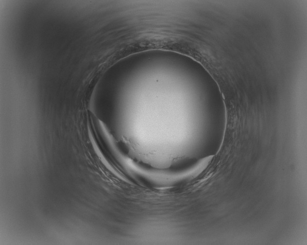 X0000074001109200608211406