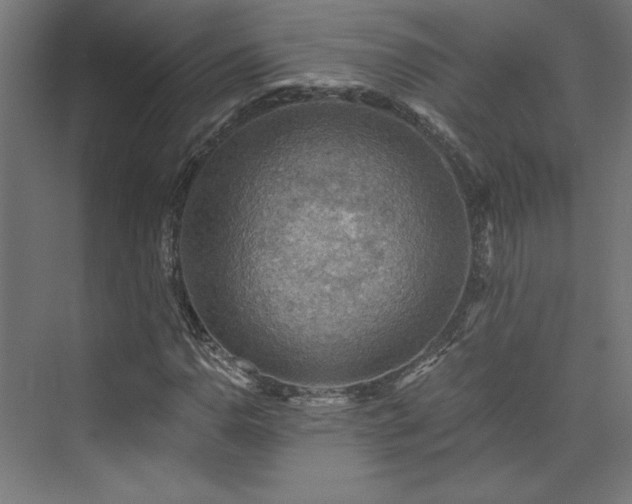 X0000074001110200608211406