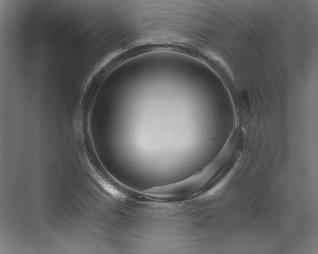X0000074001114200608211407
