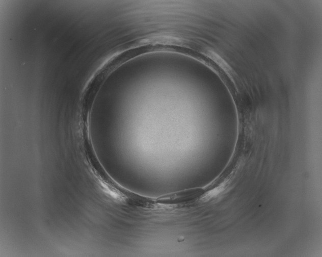 X0000074001115200608211407