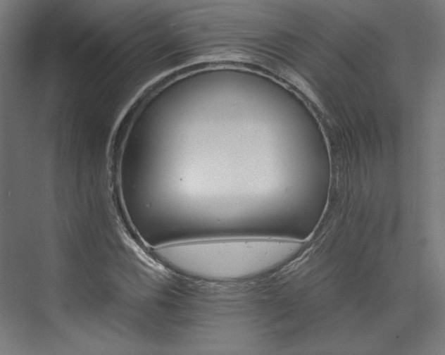 X0000074001116200608211407