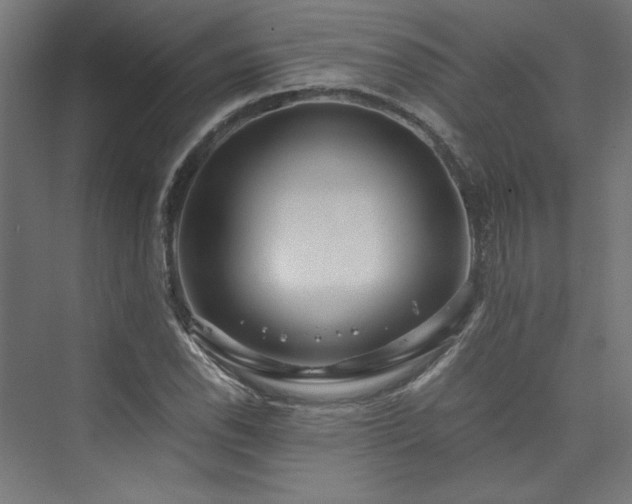 X0000074001118200608211407