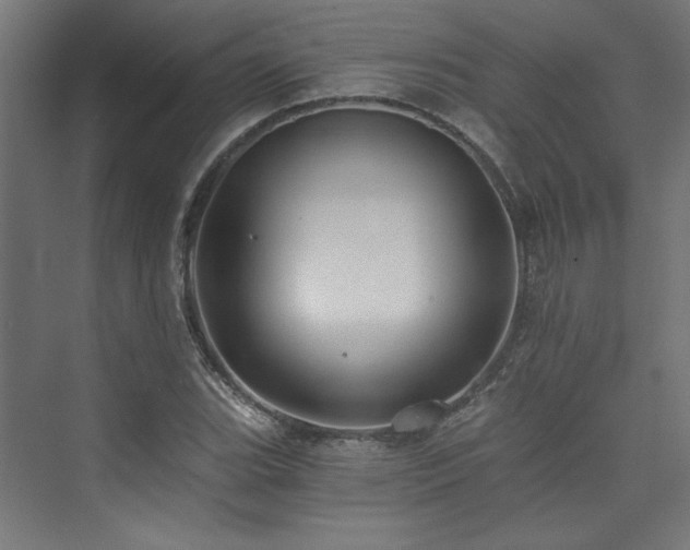 X0000074001119200608211407
