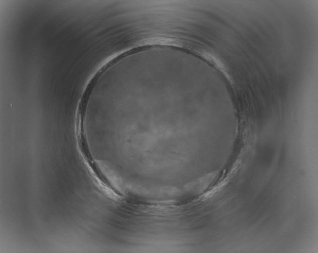 X0000074001125200608211407