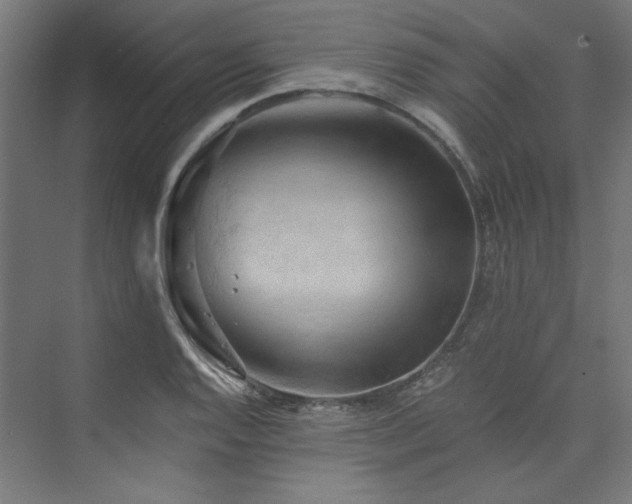 X0000074001128200608211407