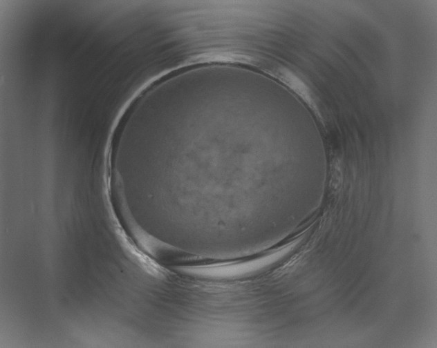 X0000074001132200608211407