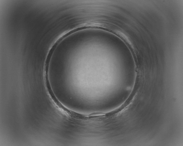 X0000074001133200608211407