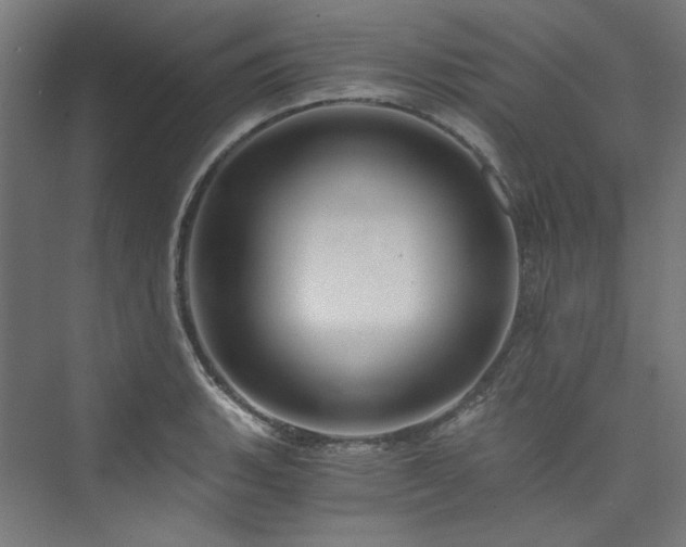 X0000074001135200608211407