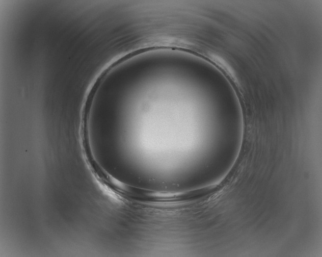 X0000074001136200608211407