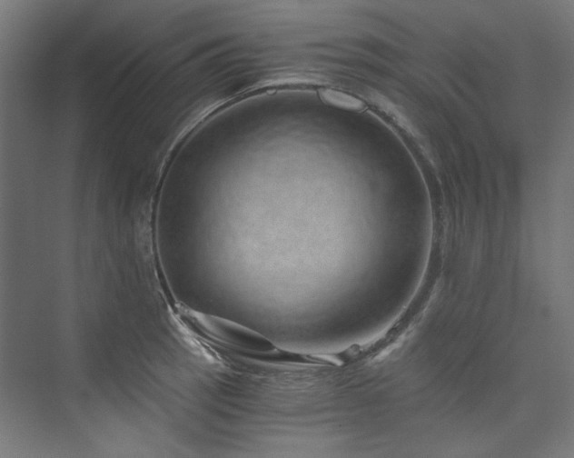 X0000074001137200608211407