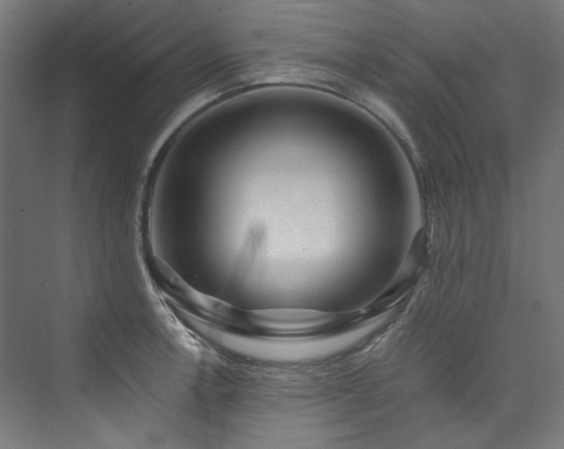 X0000074001138200608211407