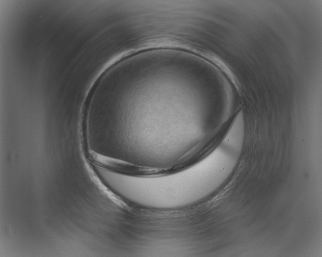 X0000074001142200608211407