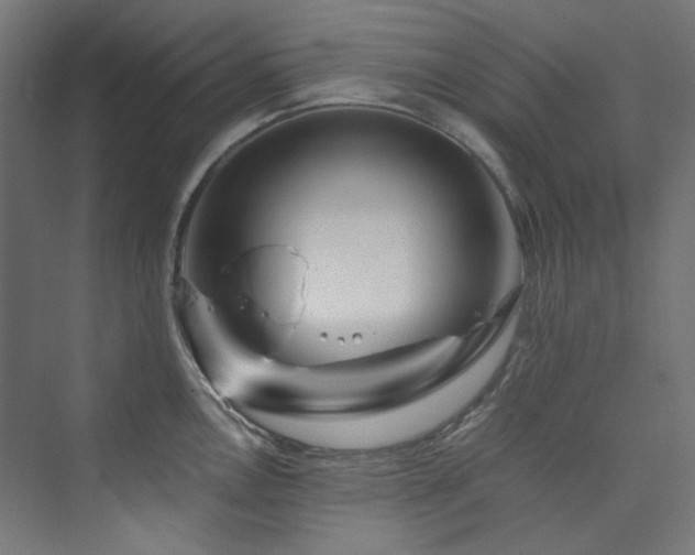 X0000074001146200608211407