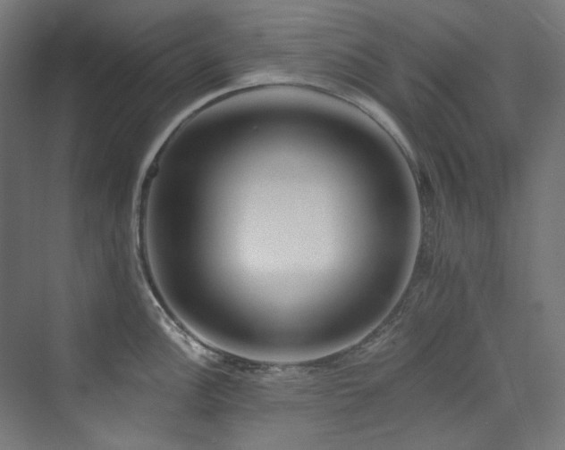X0000074001148200608211407