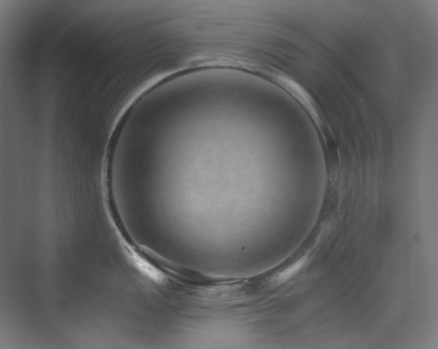 X0000074001149200608211407