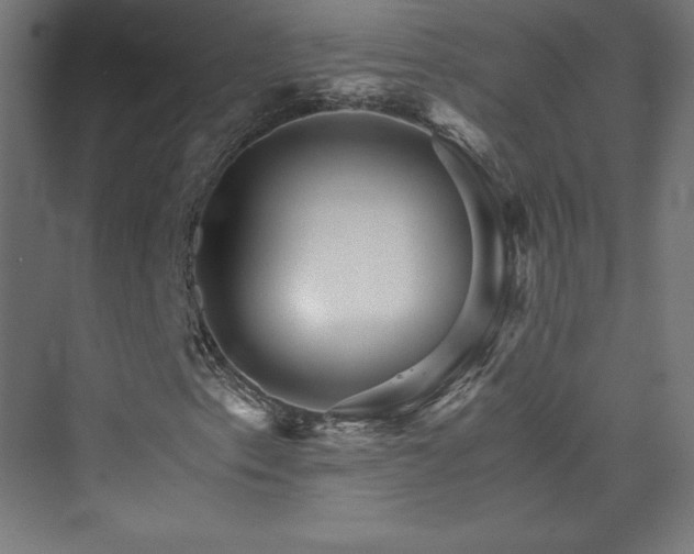 X0000074001153200608211406