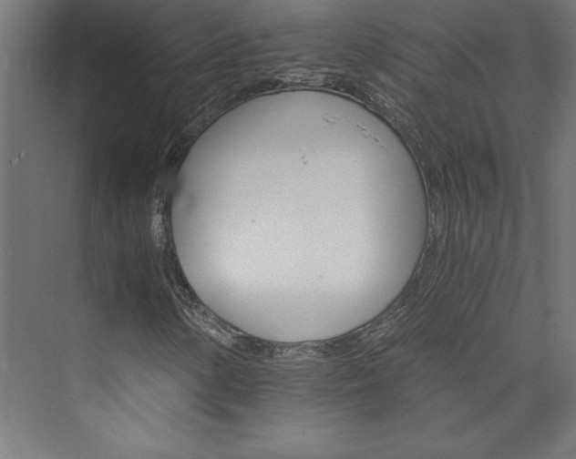 X0000074001154200608211406