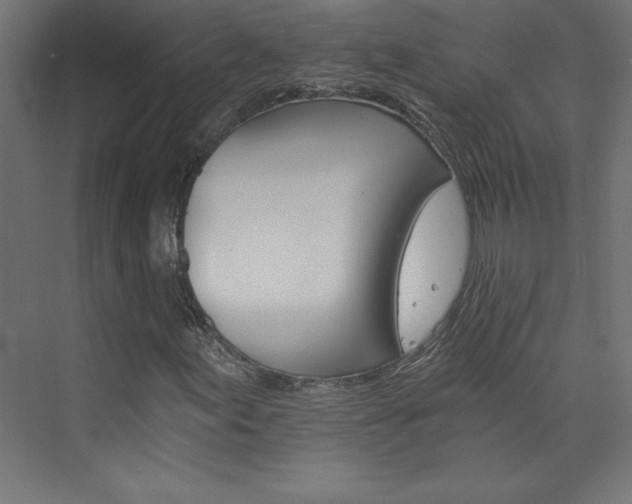 X0000074001155200608211406