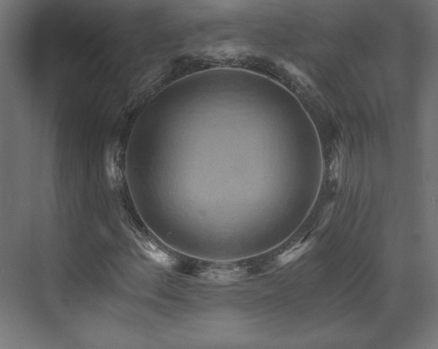X0000074001156200608211406