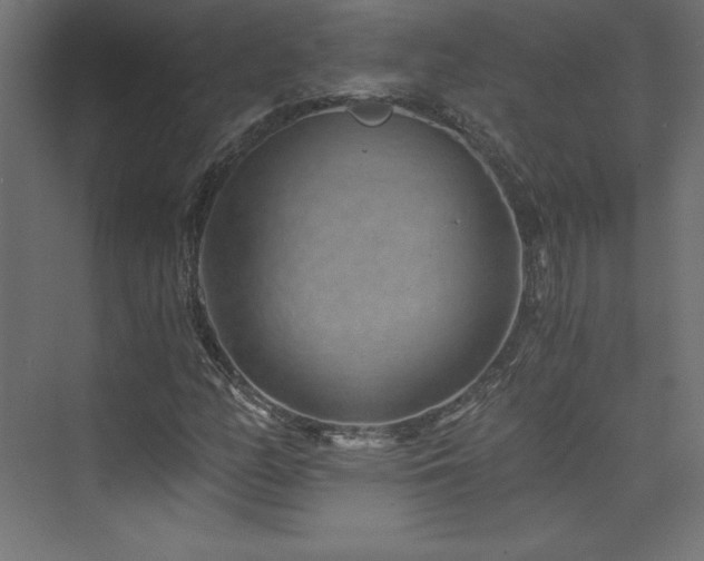 X0000074001158200608211406