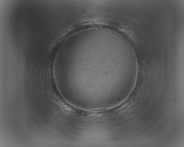 X0000074001159200608211406