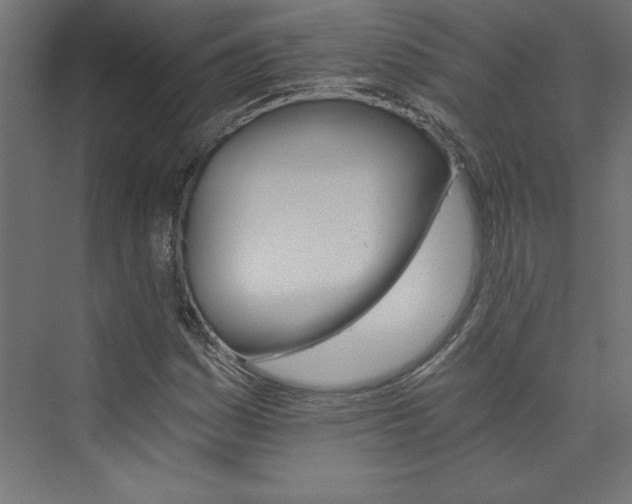 X0000074001161200608211406