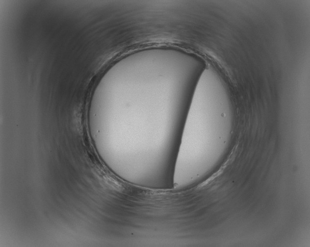 X0000074001162200608211406