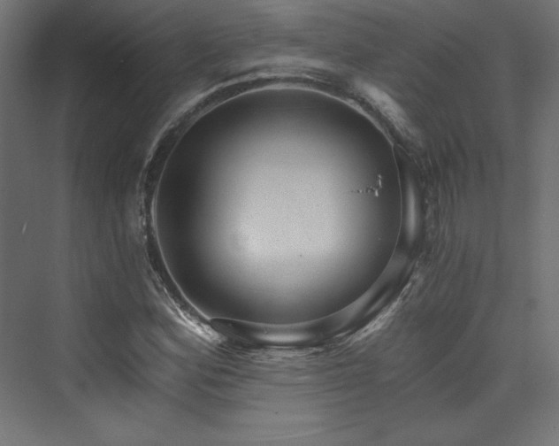X0000074001164200608211406