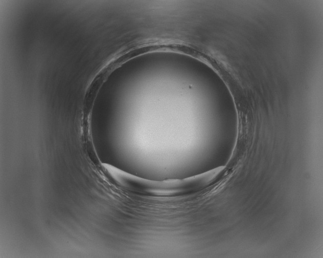 X0000074001165200608211406