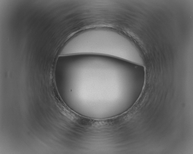 X0000074001169200608211406