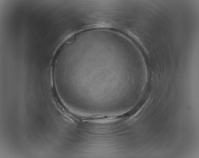 X0000074001171200608211406