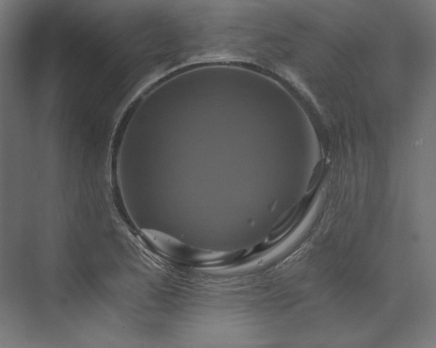X0000074001173200608211406