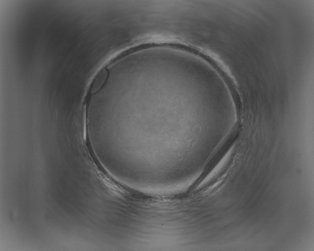 X0000074001175200608211406