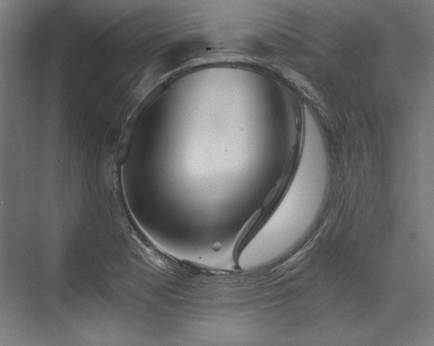 X0000074001177200608211406