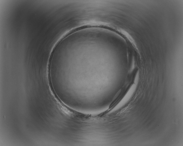 X0000074001183200608211406