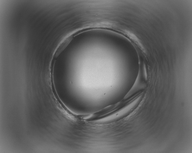 X0000074001184200608211406