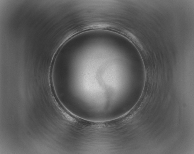 X0000074001186200608211406